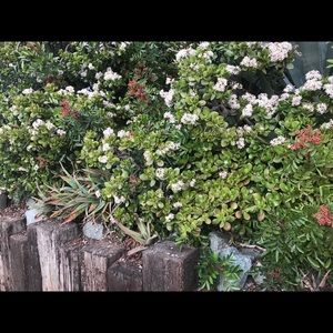 Meet your Posher, Trinity